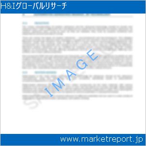 市場と産業調査レポートのイメージ